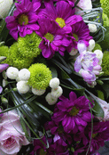 Fleurs violettes pour un doux souvenir